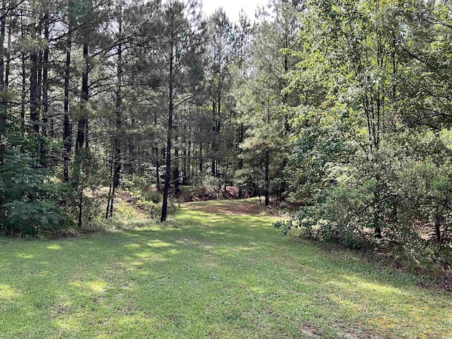 TBD Trade St, Cheraw, SC 29520 - photo 4