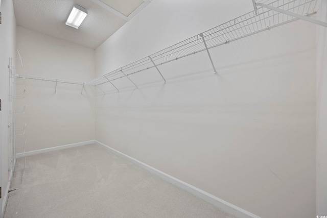 9831 Winchester Ct, Murrells Inlet, SC 29576 - spacious closet with light colored carpet
