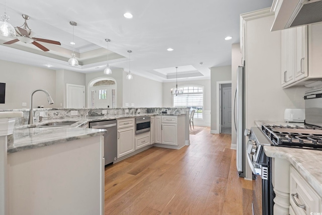 2204 Woodstork Dr, Conway, SC 29526 - kitchen featuring a raised ceiling, appliances with stainless steel finishes, wall chimney exhaust hood, a sink, and light wood-style flooring