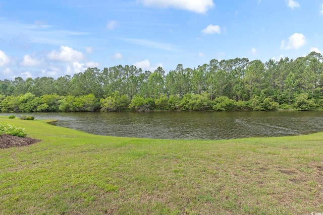 2204 Woodstork Dr, Conway, SC 29526 - water view featuring a forest