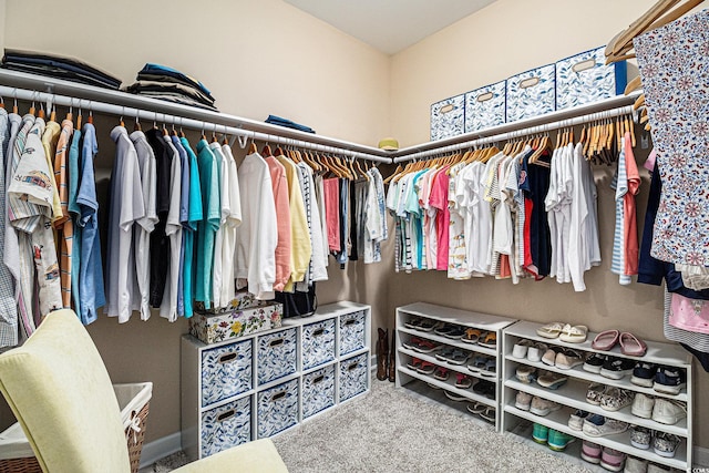 view of spacious closet