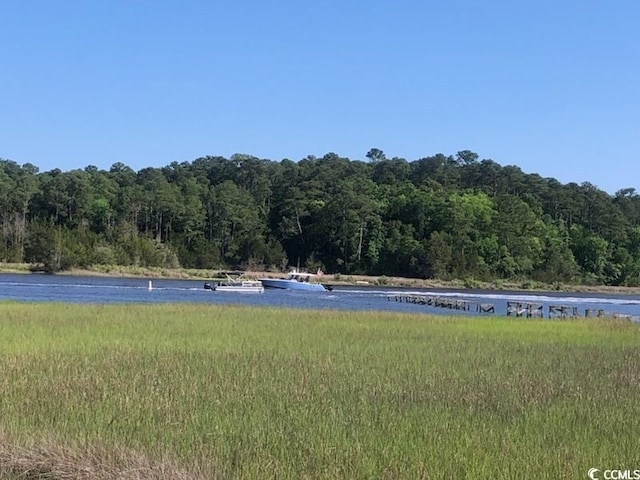 4339 Baldwin Ave Unit 4339, Little River, SC 29566 - water view featuring a heavily wooded area