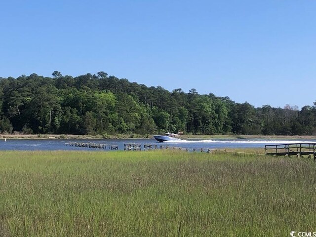 4339 Baldwin Ave Unit 4339, Little River, SC 29566 - water view with a forest