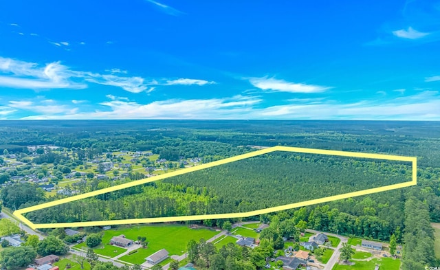 TBD Myrtle Rd, Andrews, SC 29510