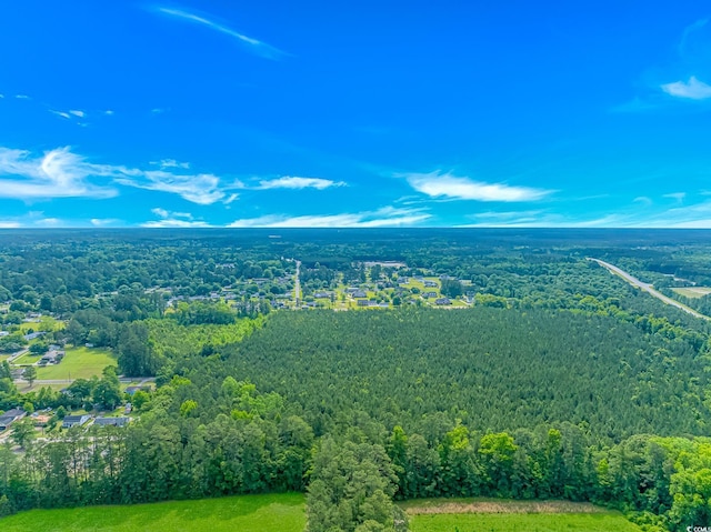 TBD Myrtle Rd, Andrews, SC 29510
