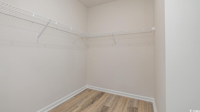 spacious closet with light wood-style floors