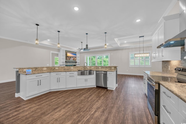 3995 Tillmond Dr, Conway, SC 29526 - kitchen featuring stainless steel appliances, a tray ceiling, a sink, wall chimney range hood, and recessed lighting