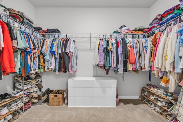 112 Carolina Lakes Blvd, Myrtle Beach, SC 29588 - spacious closet featuring carpet