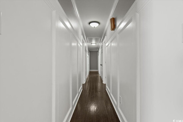 hallway with dark wood finished floors and ornamental molding