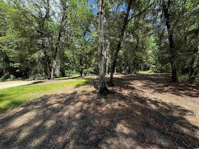 455 Crow Hill Dr, Georgetown, SC 29440