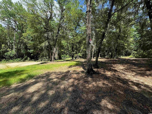 455 Crow Hill Dr, Georgetown, SC 29440
