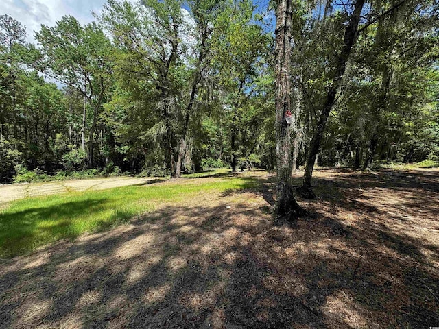 455 Crow Hill Dr, Georgetown, SC 29440