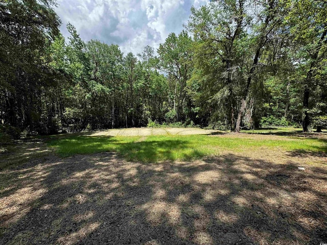 455 Crow Hill Dr, Georgetown, SC 29440