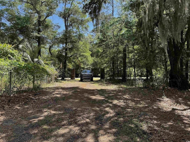 455 Crow Hill Dr, Georgetown, SC 29440