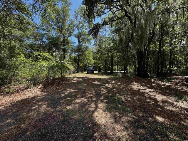 455 Crow Hill Dr, Georgetown, SC 29440