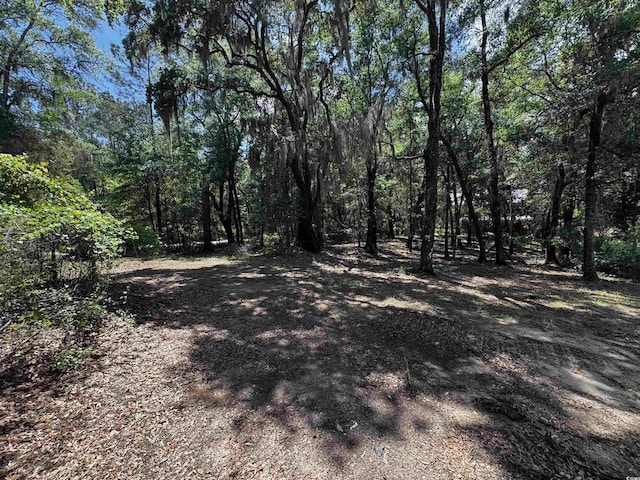 455 Crow Hill Dr, Georgetown, SC 29440