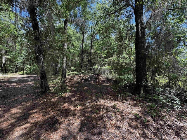 455 Crow Hill Dr, Georgetown, SC 29440