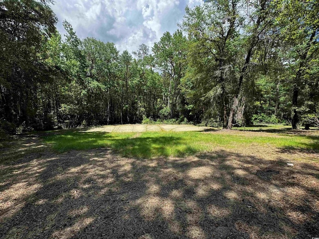 455 Crow Hill Dr, Georgetown, SC 29440