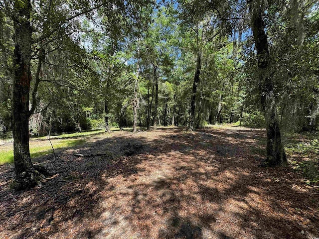 455 Crow Hill Dr, Georgetown, SC 29440