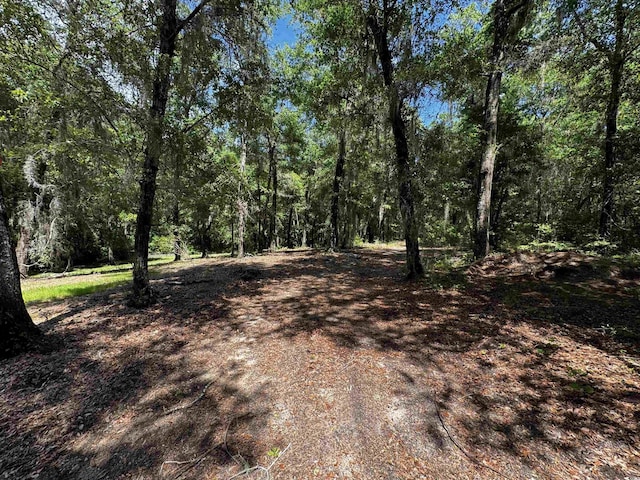 455 Crow Hill Dr, Georgetown, SC 29440