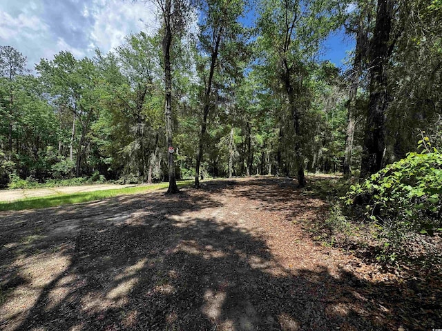 455 Crow Hill Dr, Georgetown, SC 29440
