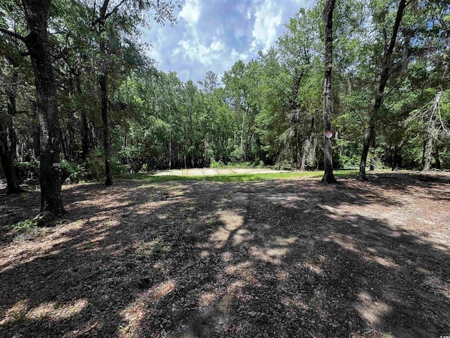455 Crow Hill Dr, Georgetown, SC 29440