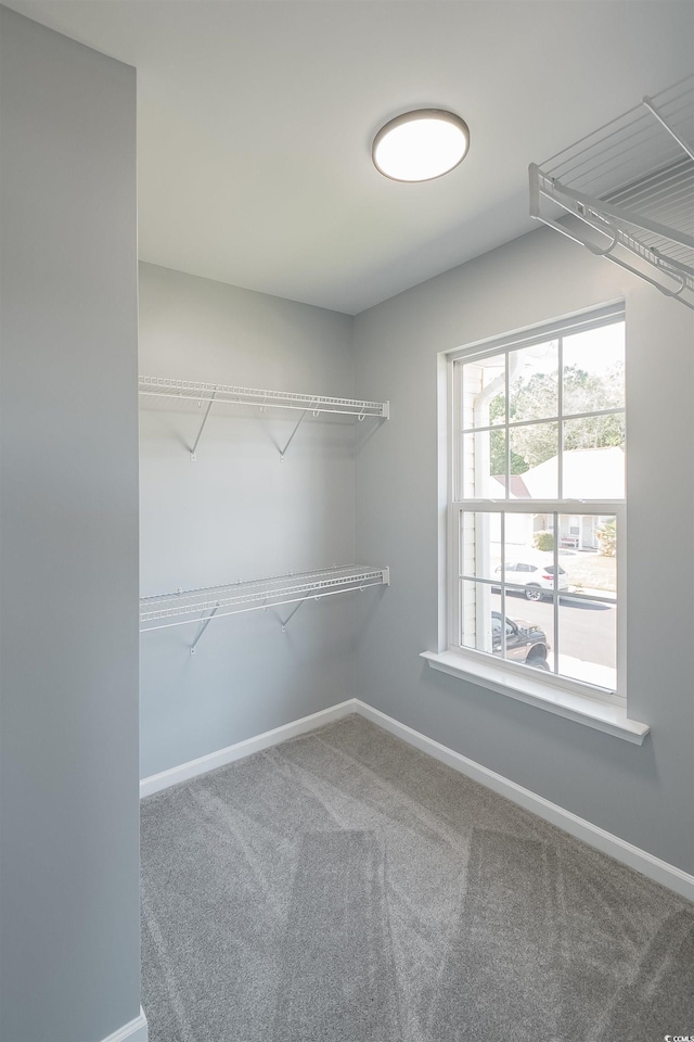 1031 Snowberry Dr, Longs, SC 29568 - spacious closet featuring carpet floors
