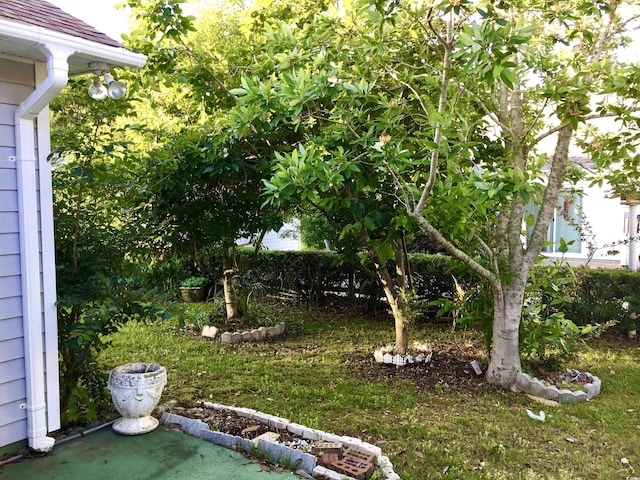 131 Goodale Dr, Longs, SC 29568 - view of yard