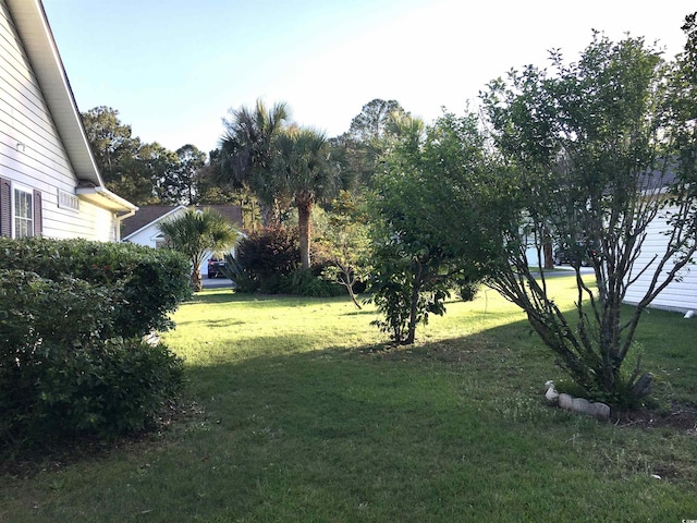 131 Goodale Dr, Longs, SC 29568 - photo 14