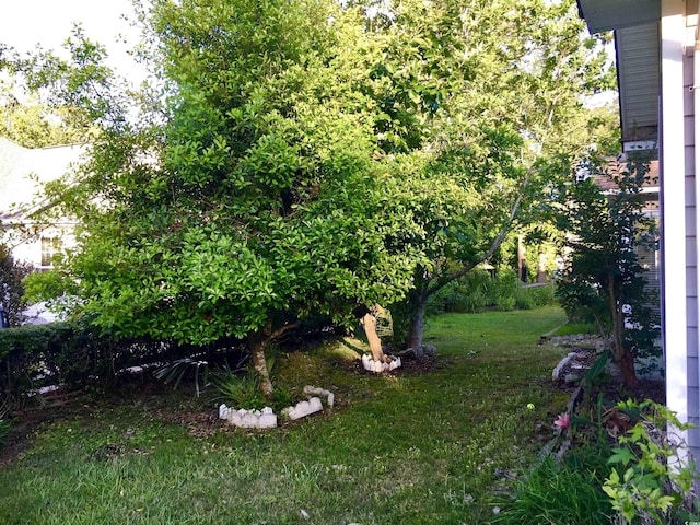131 Goodale Dr, Longs, SC 29568 - view of green lawn