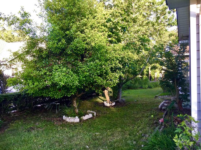 131 Goodale Dr, Longs, SC 29568 - photo 15
