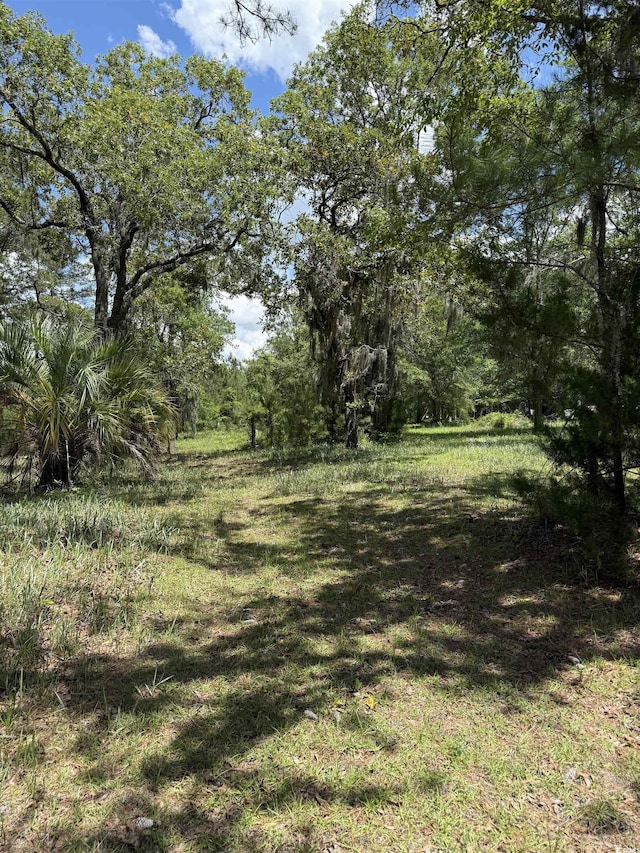 5375 Hampton Rd, Conway, SC 29527