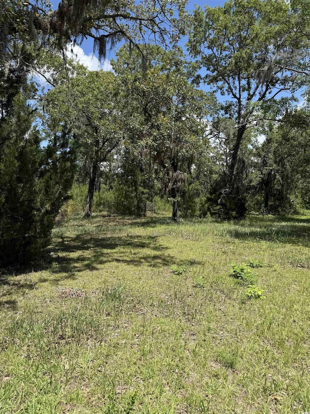 5375 Hampton Rd, Conway, SC 29527