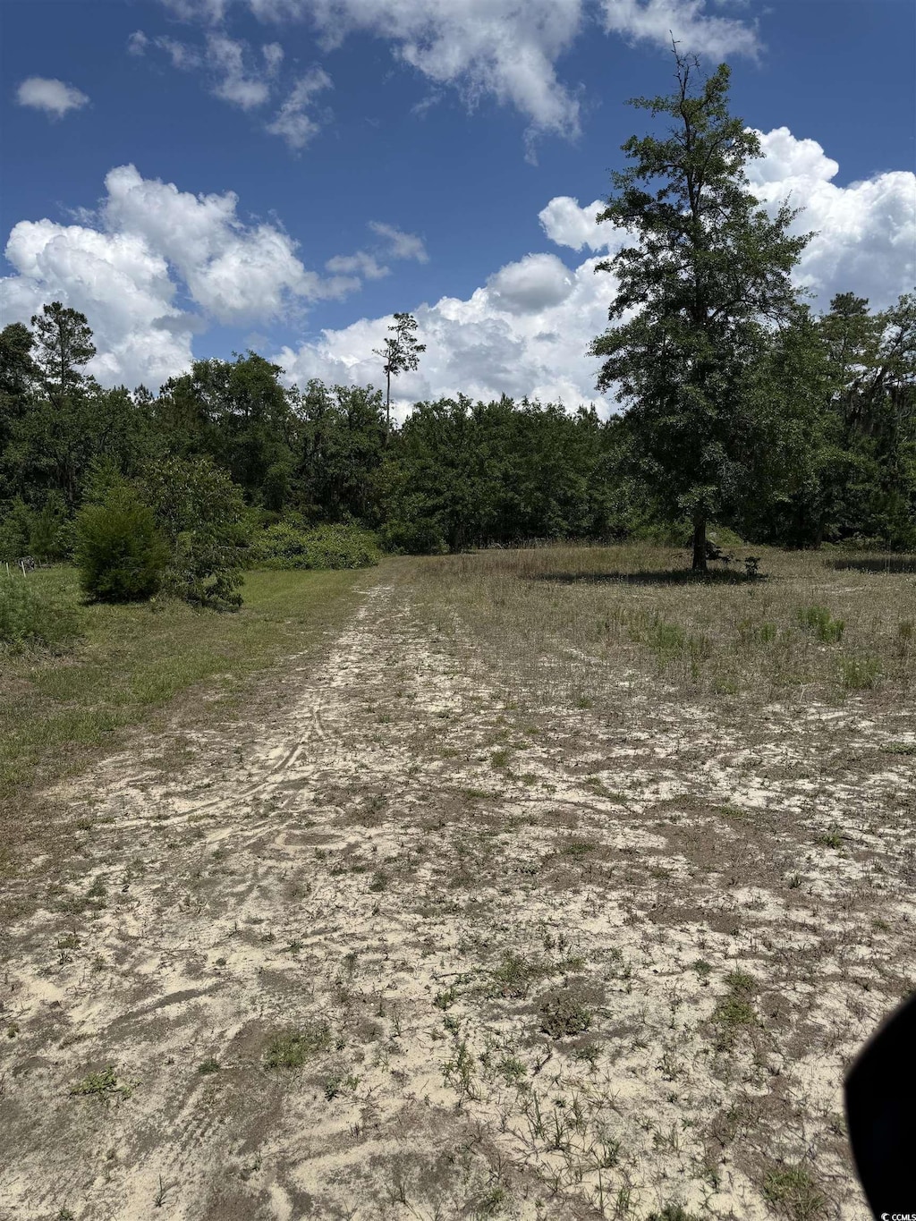 5357 Hampton Rd, Conway, SC 29527 - photo 1