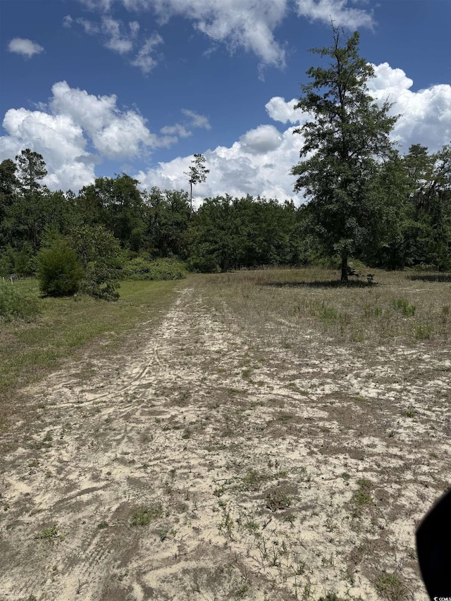 5357 Hampton Rd, Conway, SC 29527 - photo 1