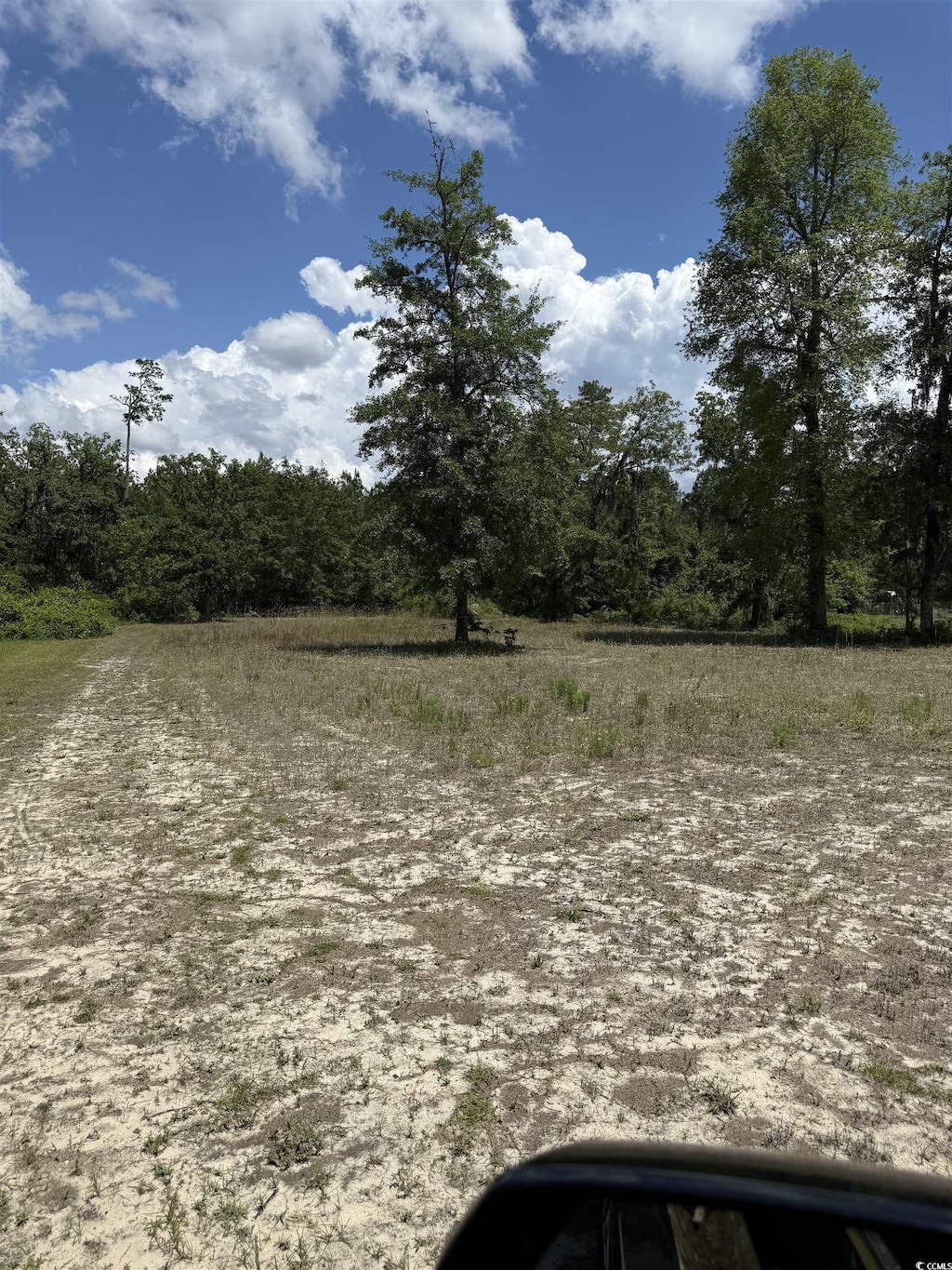 5357 Hampton Rd, Conway, SC 29527 - photo 2