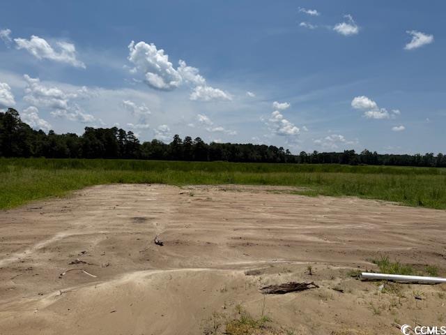 6696 Joyner Swamp Rd, Galivants Ferry, SC 29544 - photo 14