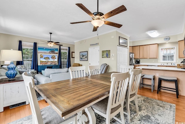 dining area with a ceiling fan, light wood finished floors, and ornamental molding