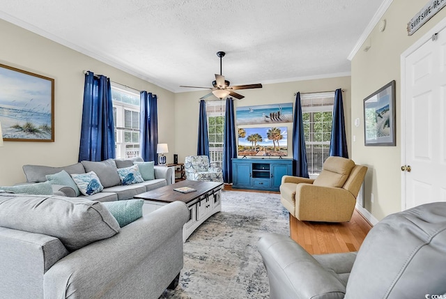 living room with ornamental molding, plenty of natural light, light wood-style flooring, a textured ceiling, and ceiling fan