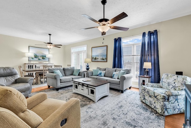living room with ceiling fan, healthy amount of natural light, a textured ceiling, and light wood finished floors