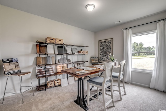 240 Wagner Cir, Conway, SC 29526 - office space with light carpet and baseboards