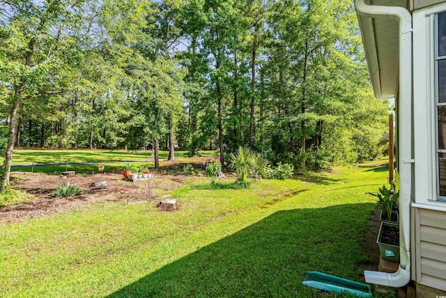 6478 Royal Pine Dr, Myrtle Beach, SC 29588 - view of grassy yard