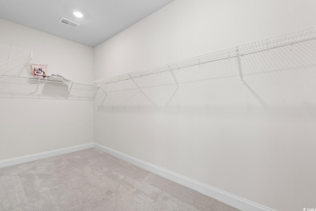 739 Harrison Mill St, Myrtle Beach, SC 29579 - walk in closet featuring carpet