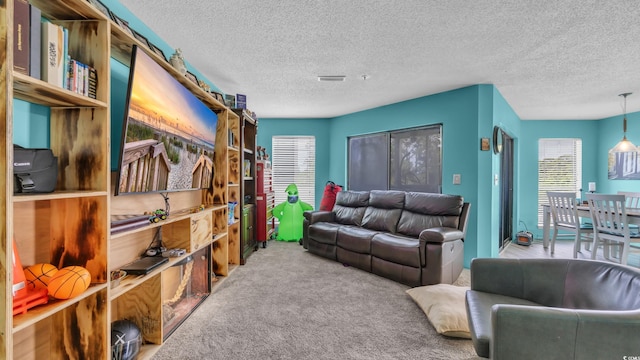 carpeted living area featuring a textured ceiling