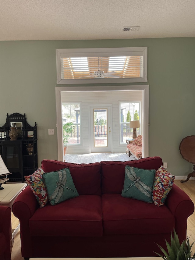 3012 Winding River Rd, North Myrtle Beach, SC 29582 - living room with wood finished floors and a textured ceiling