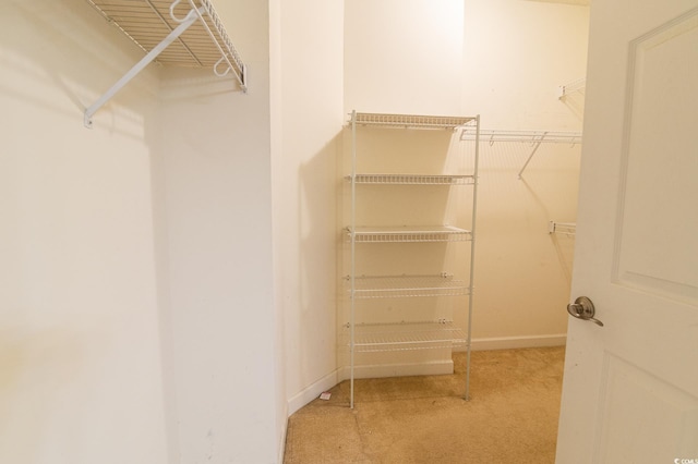 111 Rose Water Loop, Myrtle Beach, SC 29588 - walk in closet featuring carpet floors