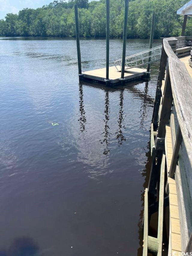 111 Rose Water Loop, Myrtle Beach, SC 29588 - dock area featuring a water view and a view of trees