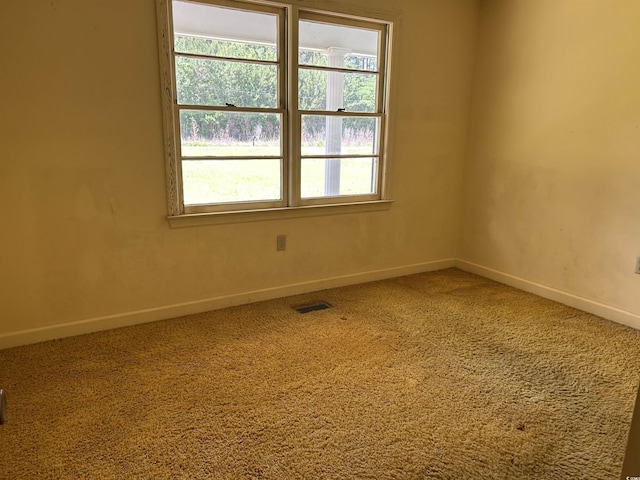 spare room featuring baseboards, healthy amount of natural light, and carpet flooring