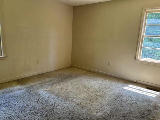 444 Davis Rd, Hemingway, SC 29554 - photo 10