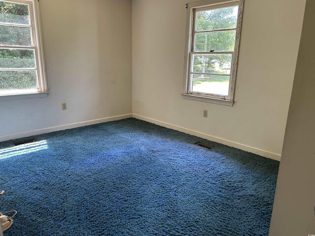 444 Davis Rd, Hemingway, SC 29554 - photo 12